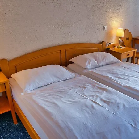 ゲストハウス Pr Bevc 3*